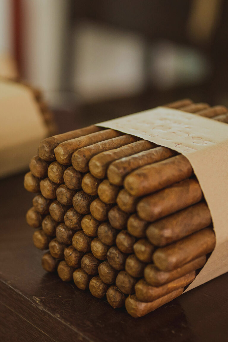 Cigars cuban master habanos